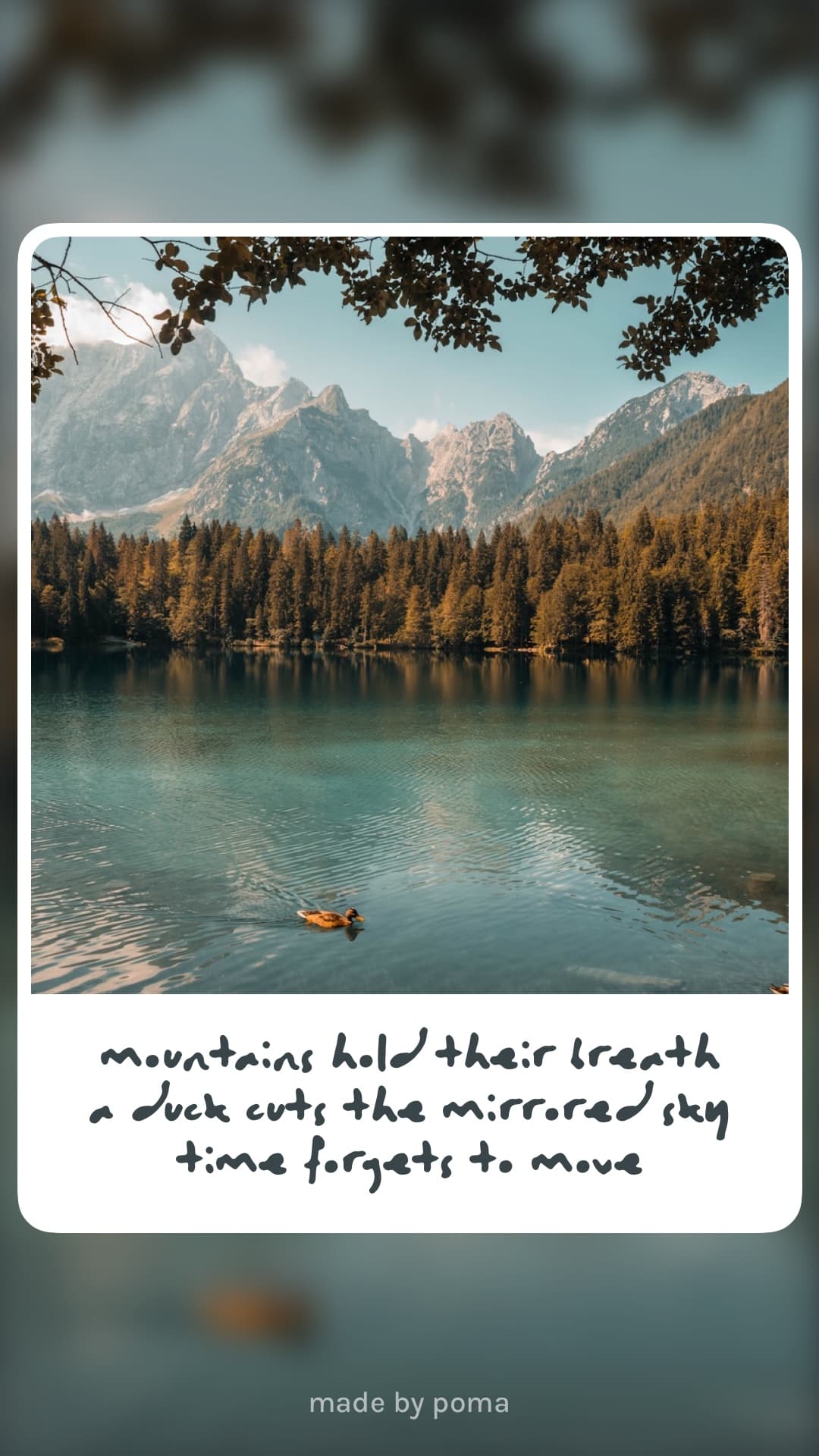 A lake with mountains, trees, and a single duck on the water